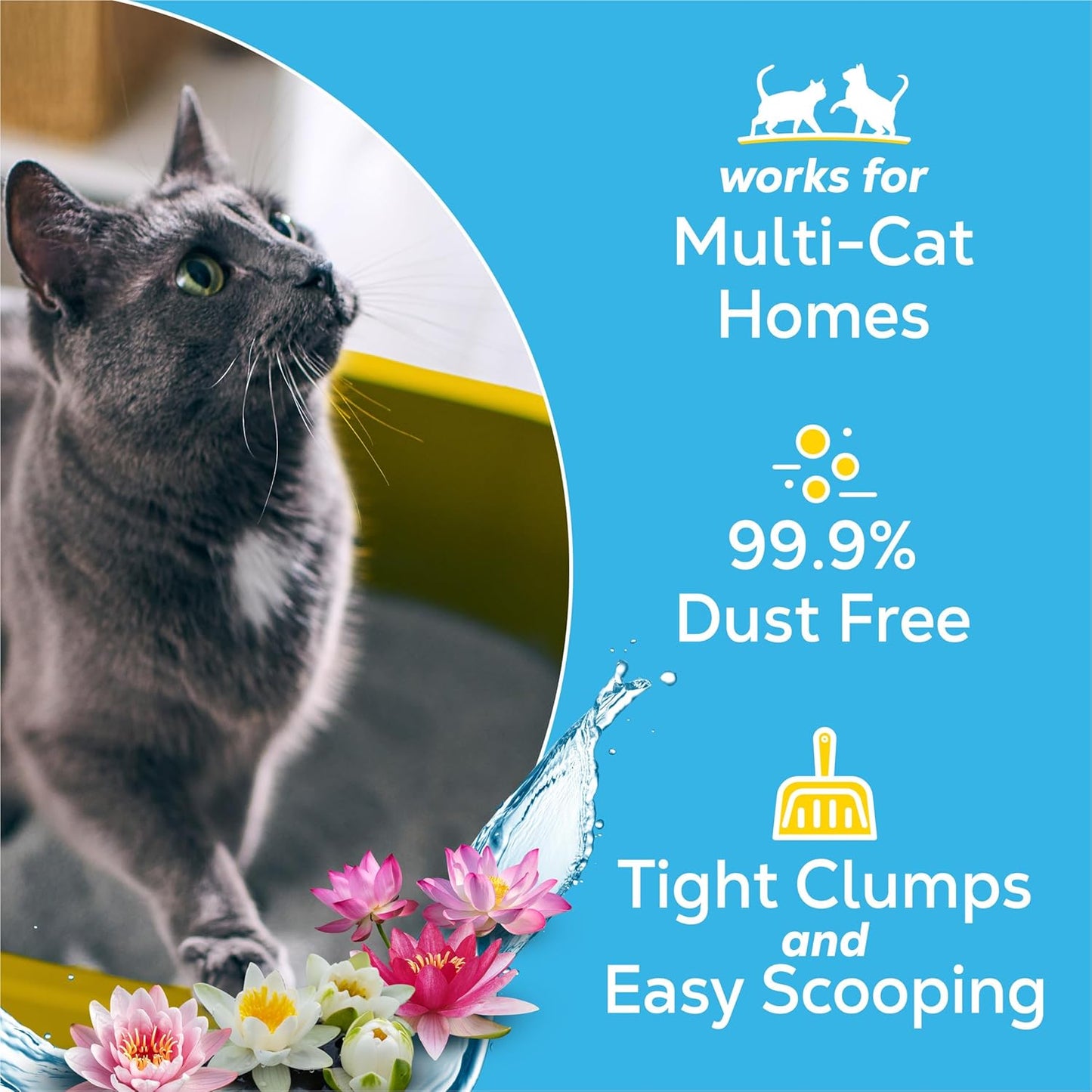 Purina Tidy Cats Lightweight Cat Litter Review