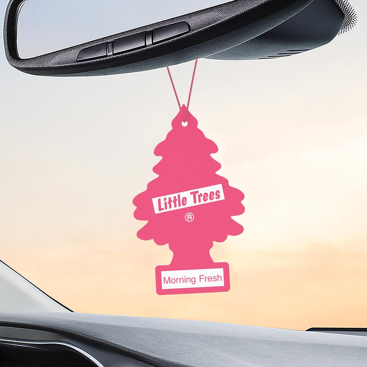 LITTLE TREES Car Air Freshener | Hanging Tree Provides Long Lasting Scent for Auto and Home | Black Ice, 24 Air Fresheners