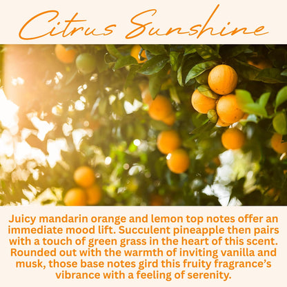 Wickless Citrus Scented Candles for a Cozy Home
