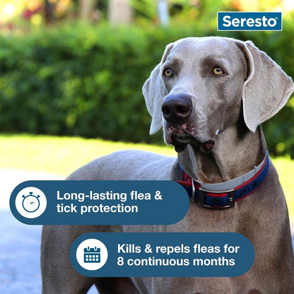 Seresto Flea & Tick Collar: Effective Protection for Your Dog