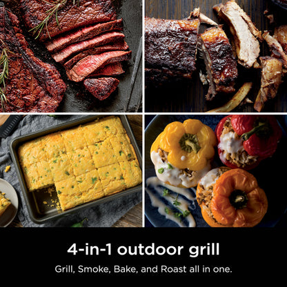 Ninja Woodfire Outdoor Grill & Smoker, 6-in-1 Functionality, Grill, Smoke, Bake, Roast, Air Fry, Broil, Authentic Woodfire Flavors, Electric Heat, OG321