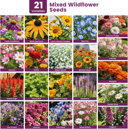 Wildblumensamen Großpackung 10000+, 30g Schmetterling-Kolibri-Mischung, 21 Sorten mehrjährige und einjährige Mischung, Non-GMO alte Blumensamen zum Pflanzen für draußen und drinnen, hohe Keimrate Gartensamen