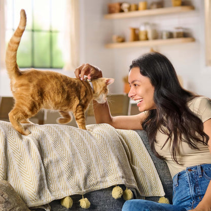 Meow Mix Original Choice Dry Cat Food Review