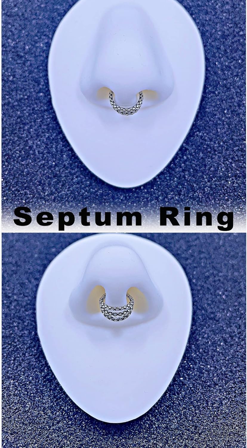 TDEBA Conch Piercing Schmuck, 316L Chirurgenstahl Segment Nasenring, CZ Knorpel Ohrringe, Lippenring, Segment Helix Rook Nahtloser Clicker Piercing Schmuck