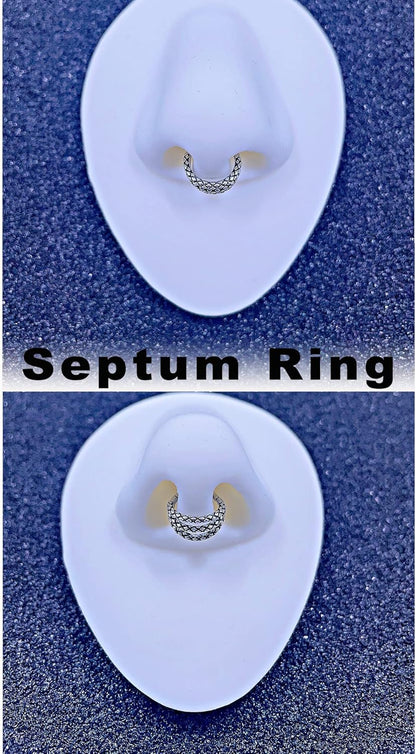 TDEBA Conch Piercing Schmuck, 316L Chirurgenstahl Segment Nasenring, CZ Knorpel Ohrringe, Lippenring, Segment Helix Rook Nahtloser Clicker Piercing Schmuck
