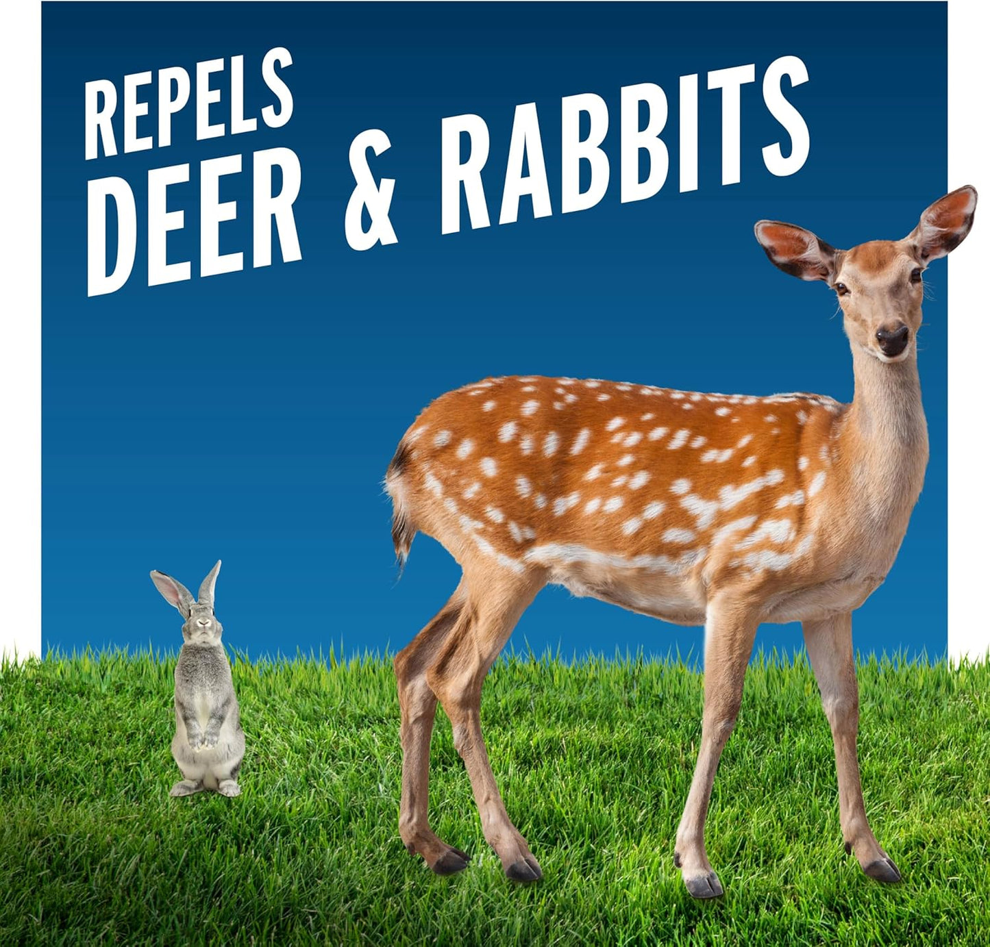 Liquid Fence Deer And Rabbit Repellent: Keep Your Garden Safe