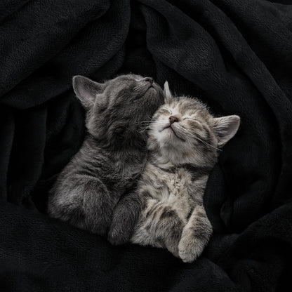 Utopia Bedding Fleece Blanket King Size Black: A Soft and Cozy Addition to Your Home