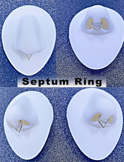 TDEBA Conch Piercing Schmuck, 316L Chirurgenstahl Segment Nasenring, CZ Knorpel Ohrringe, Lippenring, Segment Helix Rook Nahtloser Clicker Piercing Schmuck