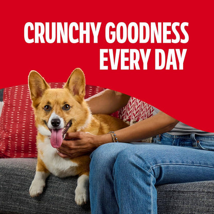 Milk-Bone Flavor Snacks Mini's Dog Biscuits: A Tasty Treat for Your Furry Friend