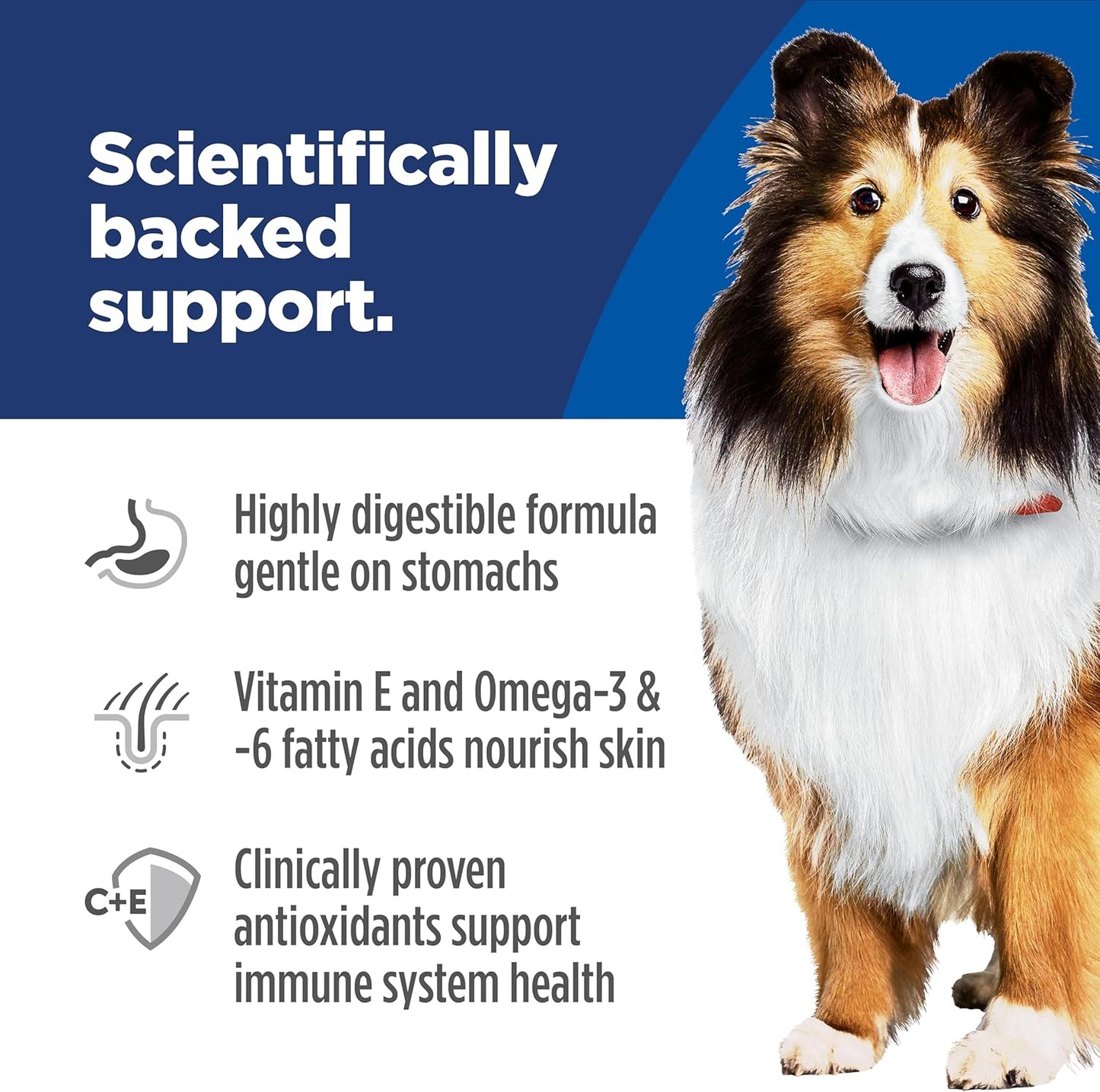 Hill's Science Diet Adult Sensitive Stomach & Skin Dry Dog Food Review