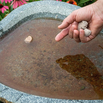 Mosquito Control Made Easy with Summit Responsible Solutions