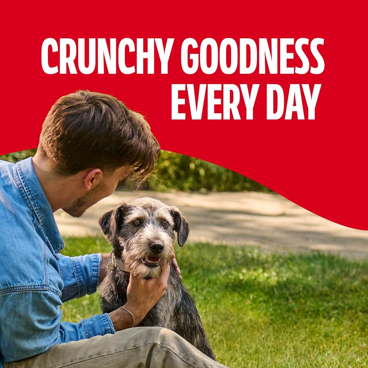 Milk-Bone Original Dog Treats: A Timeless Favorite for Your Medium-Sized Friend