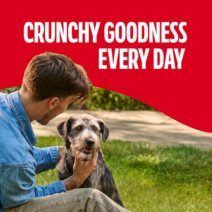 Milk-Bone Original Dog Treats: A Timeless Favorite for Your Medium-Sized Friend