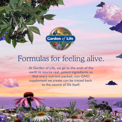 Garden of Life Vitamin Code Raw One for Women, Once Daily Women's Multivitamin - 75 Capsules, One a Day Vitamins Whole Food Iron, Probiotics for Digestive Health, Gluten Free Vegetarian, (Pack of 6)