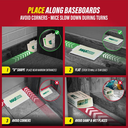 Catchmaster Max-Catch Mouse & Insect Glue Trap 36pk Review