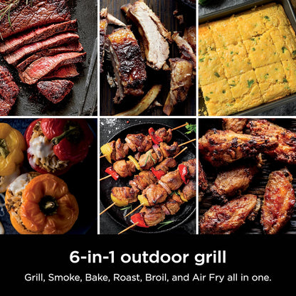 Ninja Woodfire Outdoor Grill & Smoker Review