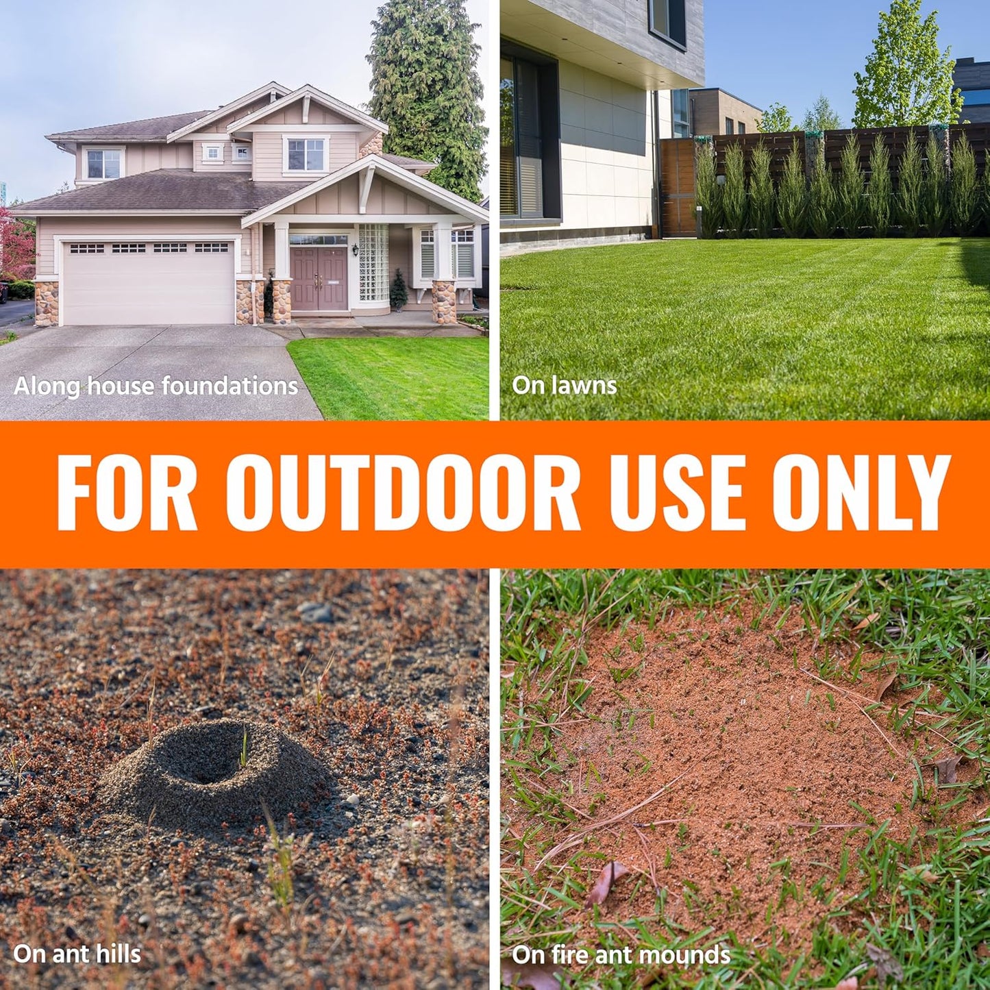 TERRO Ant Killer Plus: A Game-Changer for Outdoor Insect Control