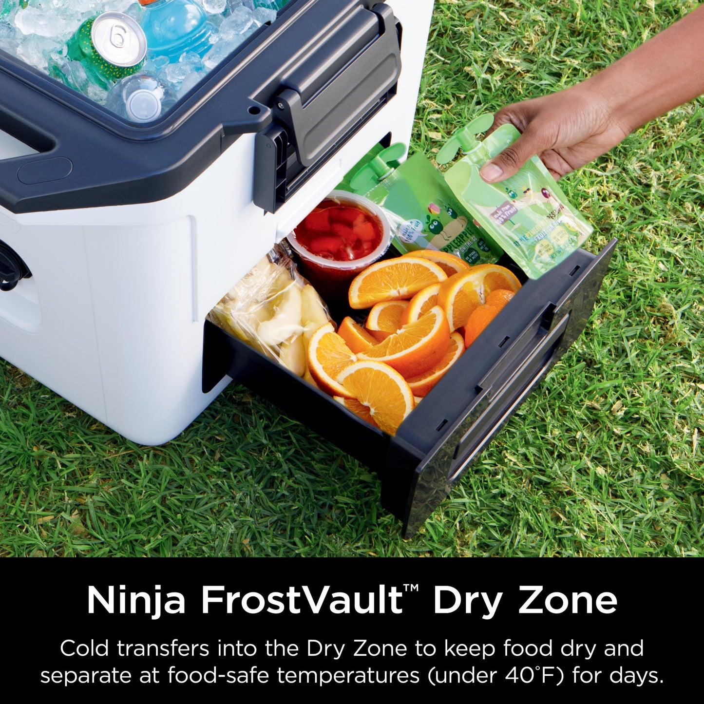 Ninja FrostVault 50qt Hard Cooler with Dry Zone | Integrated Fridge-Temp Dry Storage Drawer | Premium Heavy-Duty Insulated Cooler | Keeps Ice Cold for Days | Spanish Moss | FB151GN1