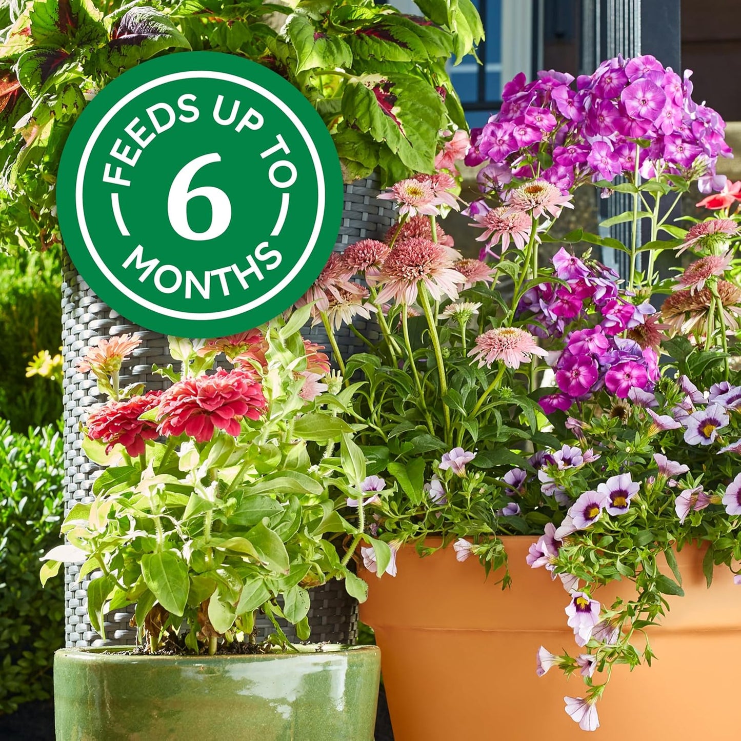 Osmocote Smart-Release Plant Food: A Game-Changer for Indoor and Outdoor Plants