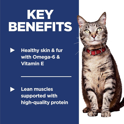 Hill's Science Diet Adult 1-6 Dry Cat Food Review: A Veterinarian-Recommended Choice