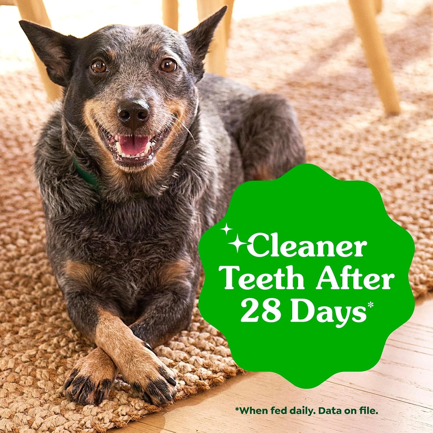 Greenies Dental Dog Treats: A Veterinarian-Recommended Solution for a Healthier Smile