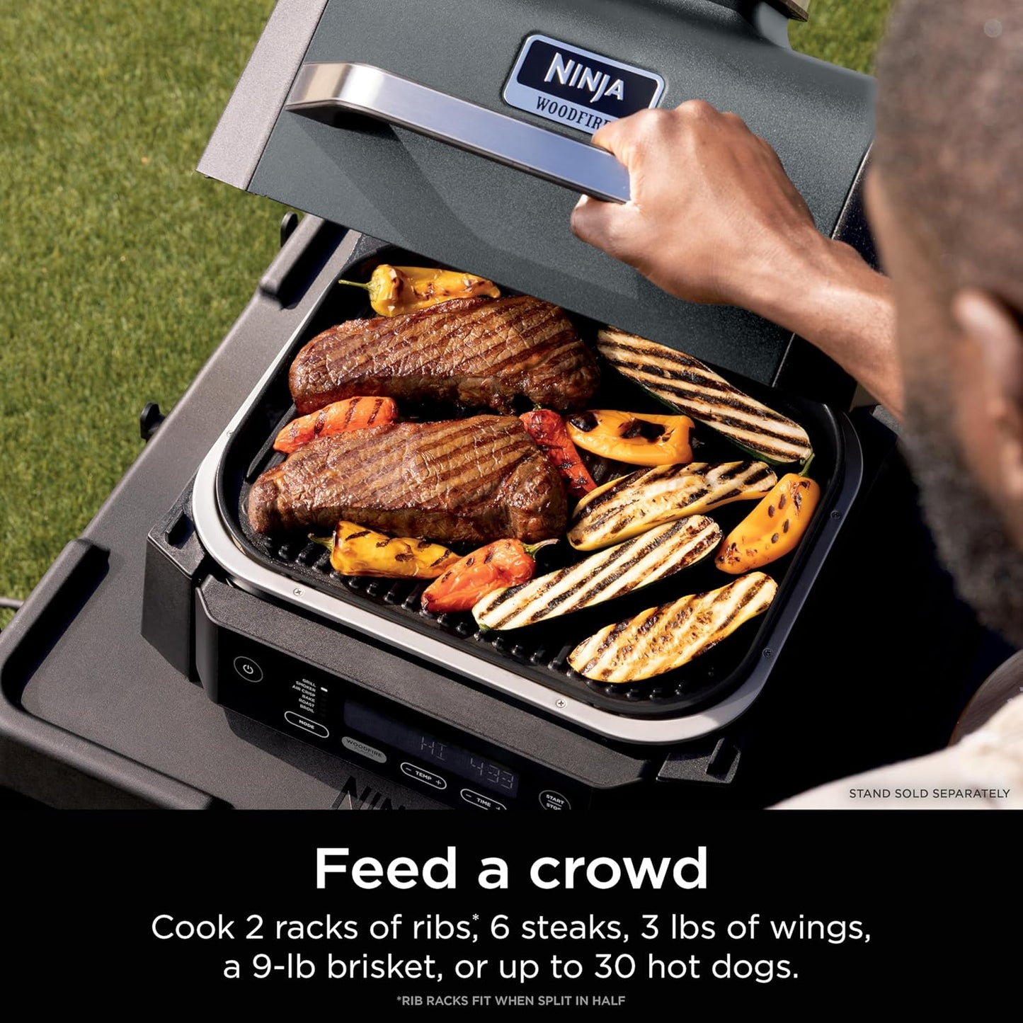 Ninja Woodfire Outdoor Grill & Smoker Review