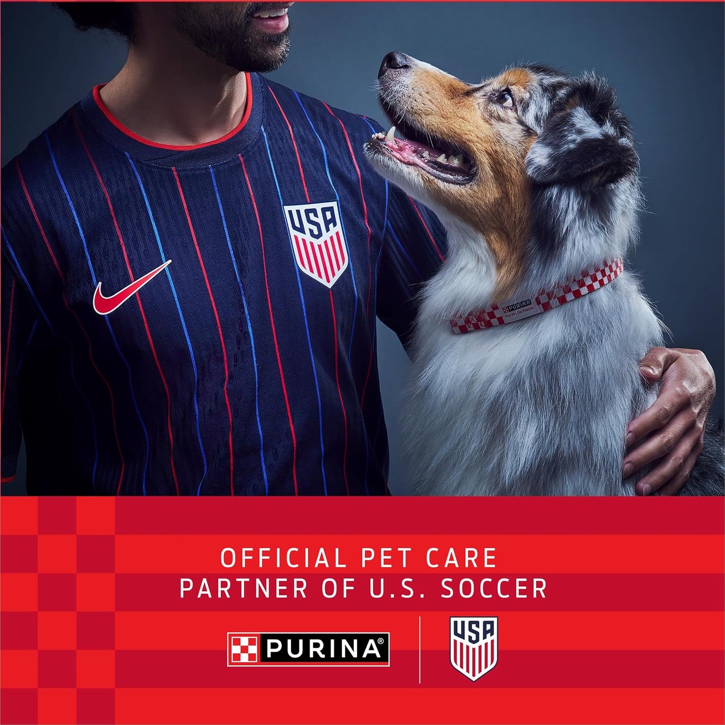 Purina ONE Dry Dog Food Lamb and Rice Formula