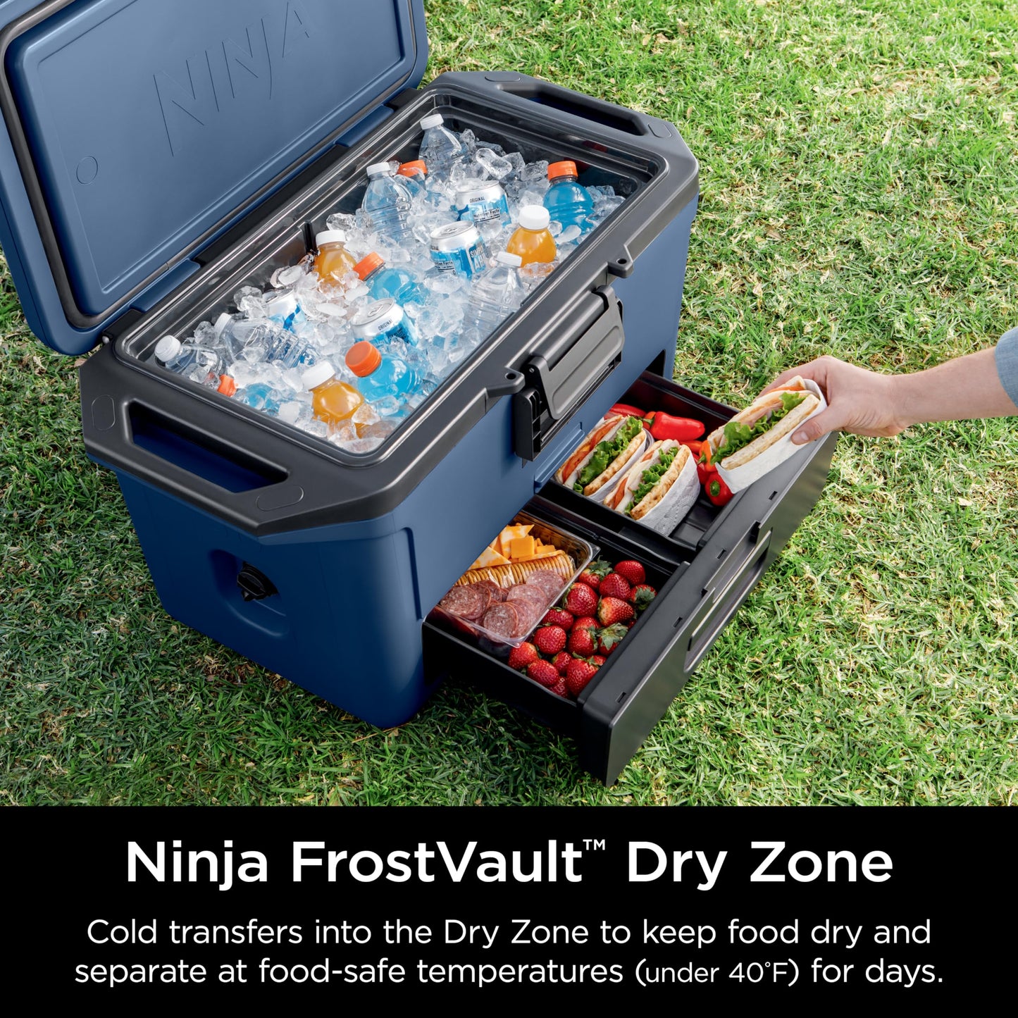 Ninja FrostVault 50qt Hard Cooler with Dry Zone | Integrated Fridge-Temp Dry Storage Drawer | Premium Heavy-Duty Insulated Cooler | Keeps Ice Cold for Days | Spanish Moss | FB151GN1