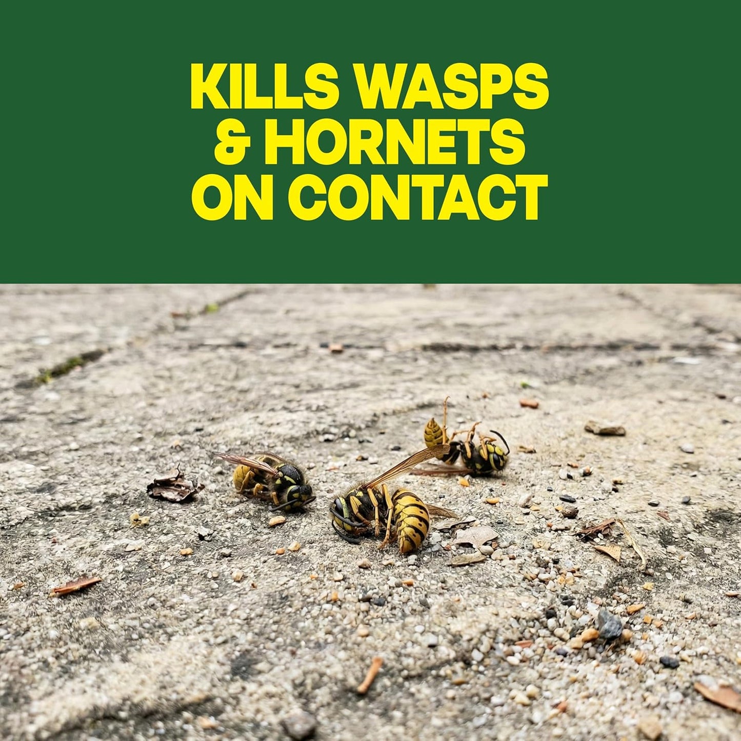 Raid Wasp & Hornet Killer Spray: A Lifesaver for Outdoor Spaces
