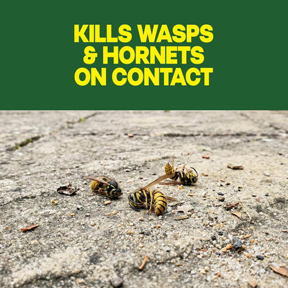 Raid Wasp & Hornet Killer Spray: A Lifesaver for Outdoor Spaces