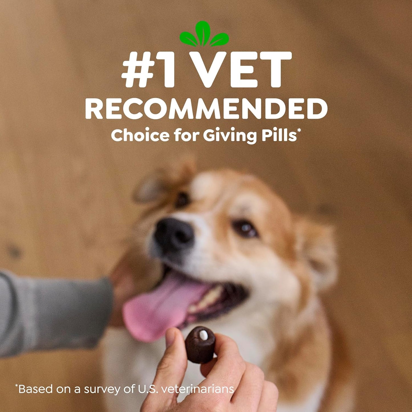 Greenies Pill Pockets for Dogs: A Game-Changer for Medication Time