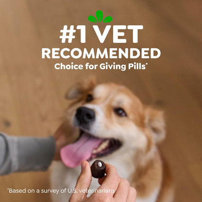 Greenies Pill Pockets for Dogs: A Game-Changer for Medication Time