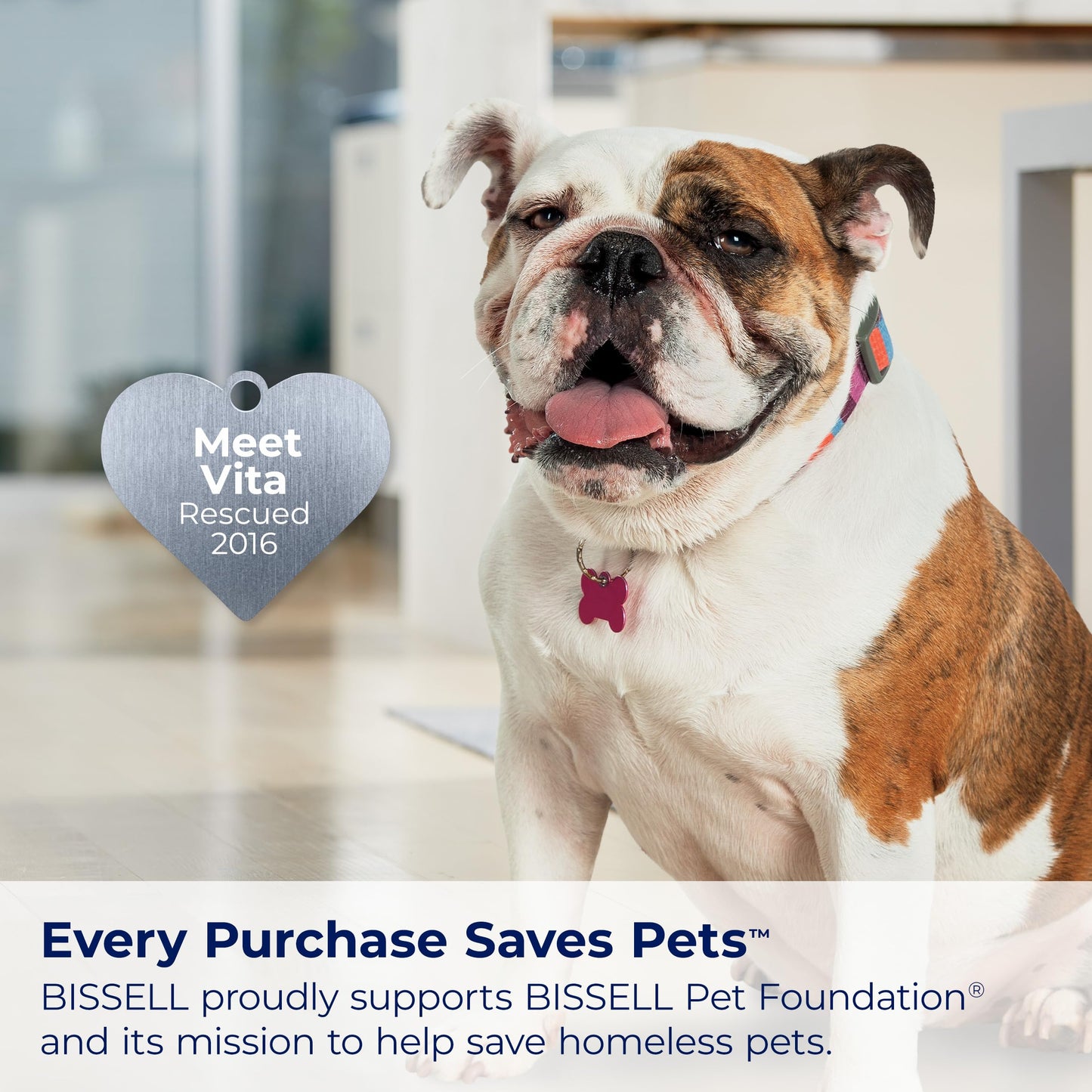 BISSELL Spotclean Professional Portable Carpet And Upholstery Deep Cleaner With Full-Sized 5.9 Amp, 5Ft Hose With 3" Tough Stain Brush, 3-In-1 Stair And Hydro-Rinse Self-Cleaning Tools, 2891B