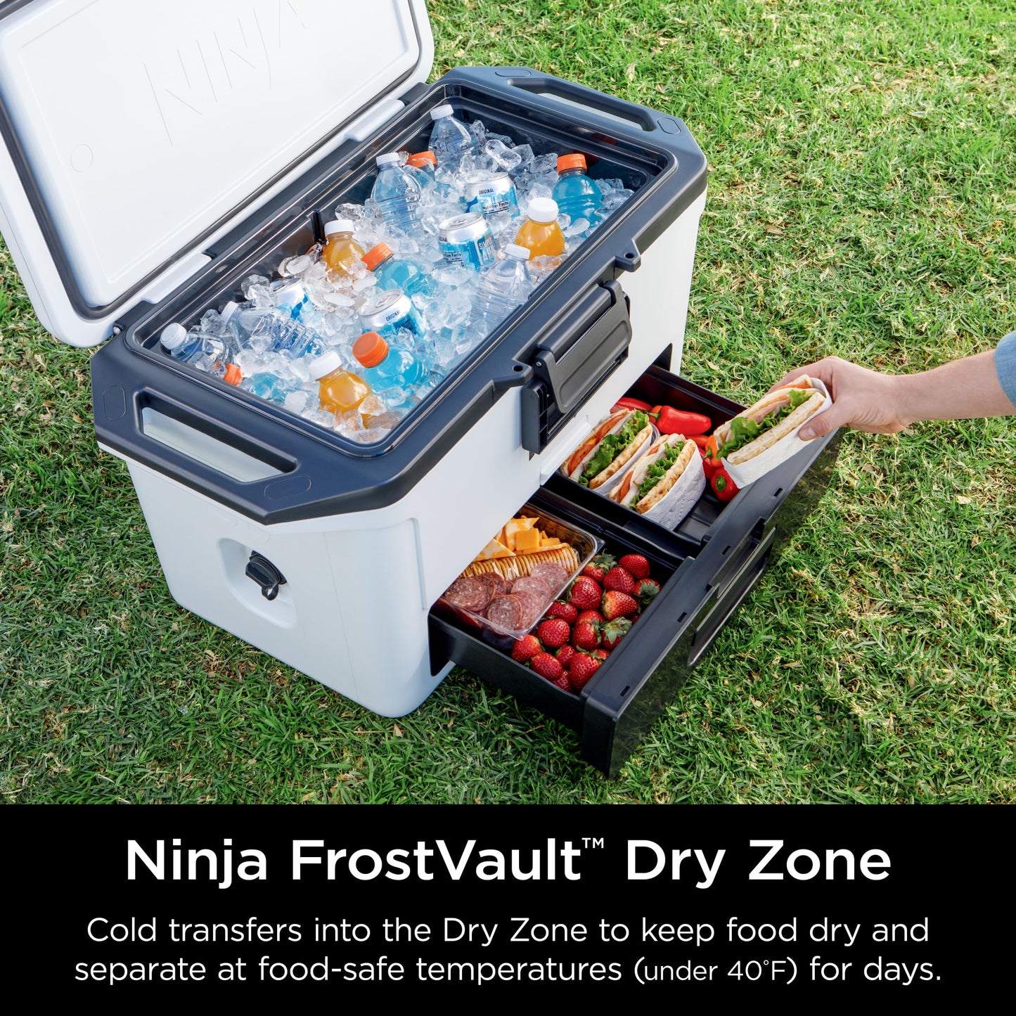 Ninja FrostVault 50qt Hard Cooler with Dry Zone | Integrated Fridge-Temp Dry Storage Drawer | Premium Heavy-Duty Insulated Cooler | Keeps Ice Cold for Days | Spanish Moss | FB151GN1